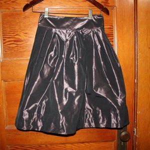 Banana Republic Full Skirt Poofy Pleated Metallic